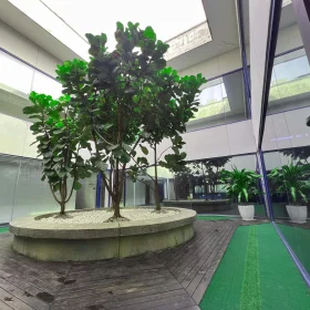 Picorr Office Image (3)